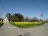 small-pano-3-P3140037.jpg